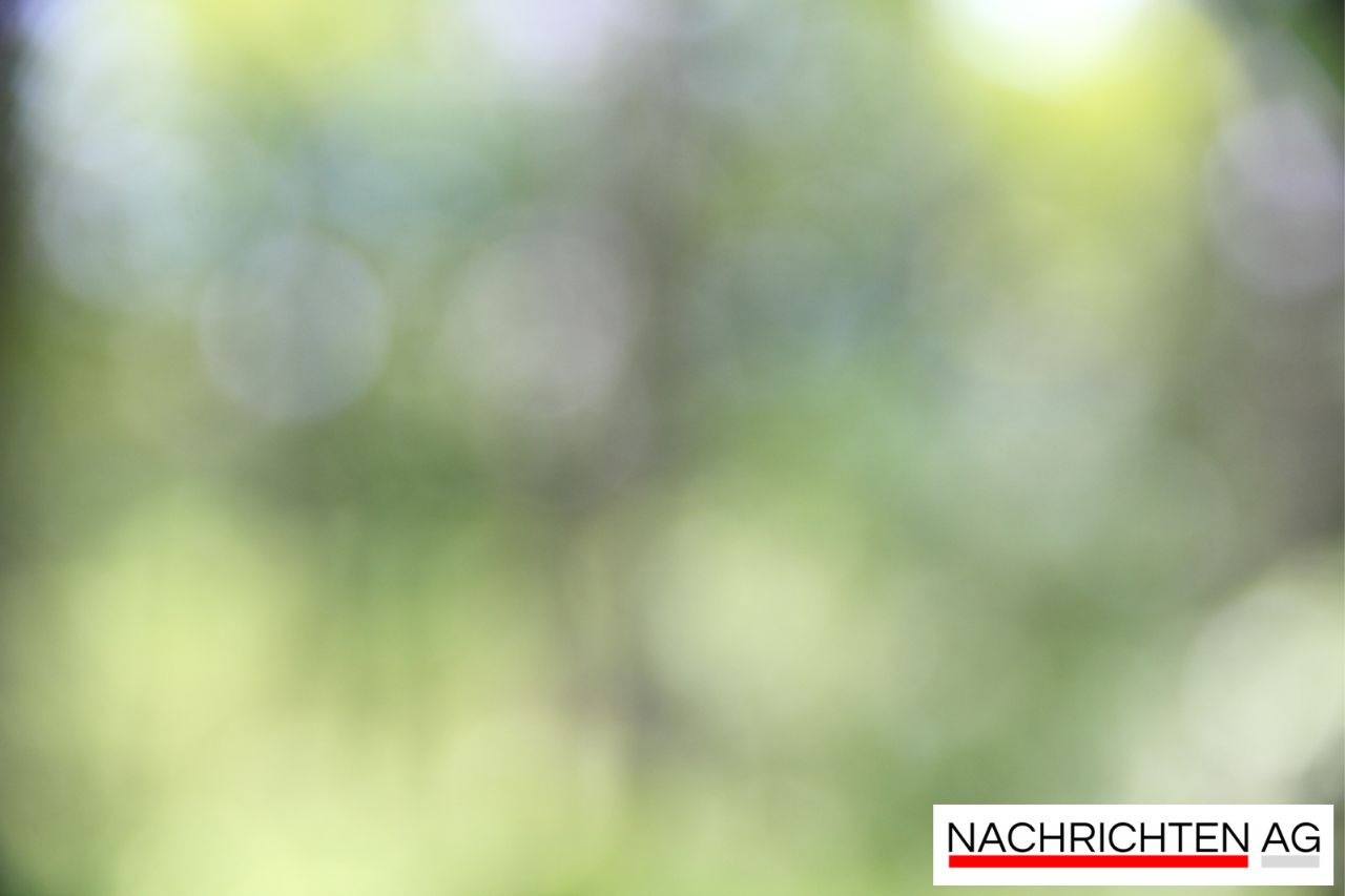 Roots in Plüderhausen: Gemeinsam leben, Zukunft gestalten!